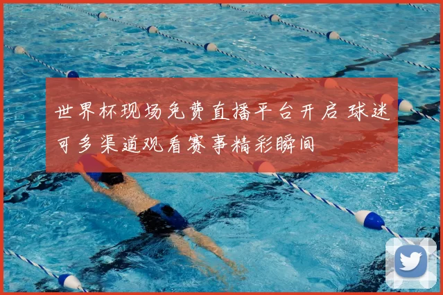 世界杯现场免费直播平台开启 球迷可多渠道观看赛事精彩瞬间