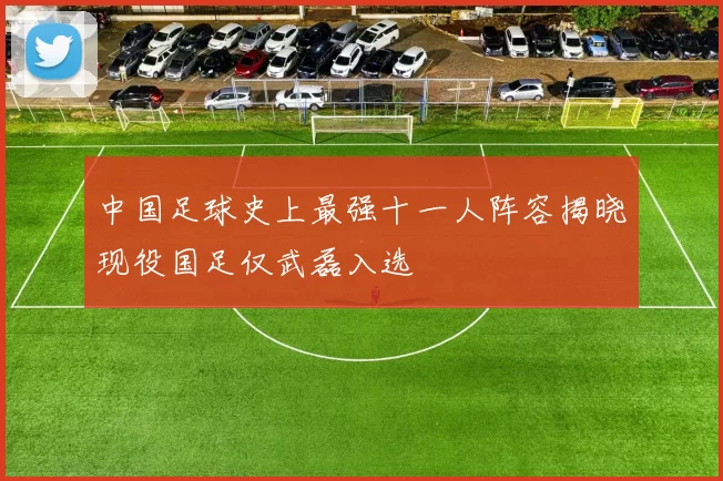 中国足球史上最强十一人阵容揭晓现役国足仅武磊入选