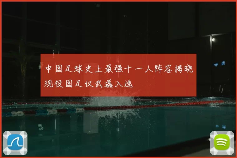 中国足球史上最强十一人阵容揭晓现役国足仅武磊入选