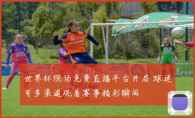 世界杯现场免费直播平台开启 球迷可多渠道观看赛事精彩瞬间