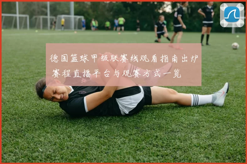 德国篮球甲级联赛线观看指南出炉 赛程直播平台与观赛方式一览