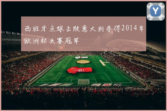 西班牙点球击败意大利夺得2014年欧洲杯决赛冠军