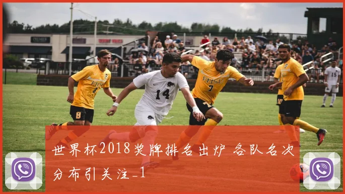 世界杯2018奖牌排名出炉 各队名次分布引关注_1